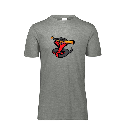 [FTSCUBGY-AS-LOGO2] Decker Men's Tri-Blend T-Shirt - Short Sleeve (Adult S, Gray, Logo 2)